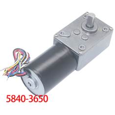 Motor DC sem escovas 5840-3650 12V 10 RPM com redutor sem-fim