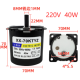 Motor de engrenagem s&iacute;ncrono de &iacute;m&atilde; permanente 70KTYZ AC 220 V 40 W 10 RPM - Thumb - 1