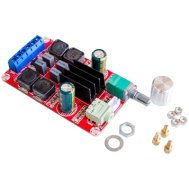 Placa amplificadora digital XH-M189 est&eacute;reo 2x50W DC24V TPA3116D2