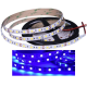 Fita de LED SMD 5050 azul 12V 60 LEDs/m flex&iacute;vel 5 m por rolo, n&atilde;o &agrave; prova d'&aacute;gua - Thumb - 1
