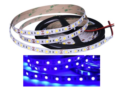 Fita de LED SMD 5050 azul 12V 60 LEDs/m flex&iacute;vel 5 m por rolo, n&atilde;o &agrave; prova d'&aacute;gua - Imagem 1