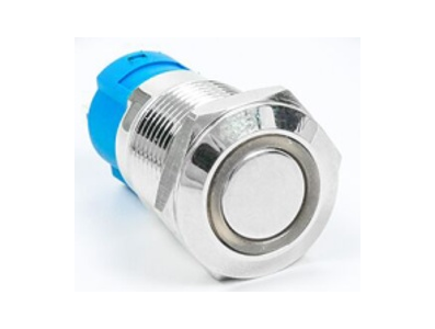 Bot&atilde;o pulsador met&aacute;lico 12 mm cabe&ccedil;ote plano 110-220 V moment&acirc;neo com LED branco, retorno autom&aacute;tico e &agrave; prova d'&aacute;gua - Imagem 1