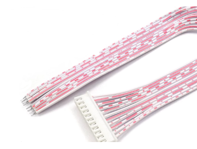 Conector macho XH 2,54 mm 11 pinos com fios 1007 26AWG 20 cm, vermelho e branco - Imagem 1