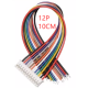 Conector plug macho PH 2,0 mm, 12 pinos, com cabo 1007 26 AWG 10 cm - Thumb - 1