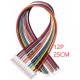 Conector plug macho PH 2,0 mm 12 pinos com fio 1007 26 AWG 25 cm - Thumb - 1