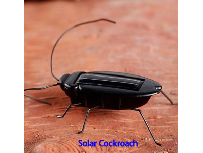 Kit de Rob&oacute;tica Educacional Energia Solar Barata Preta (brinquedo inseto) - Imagem 7