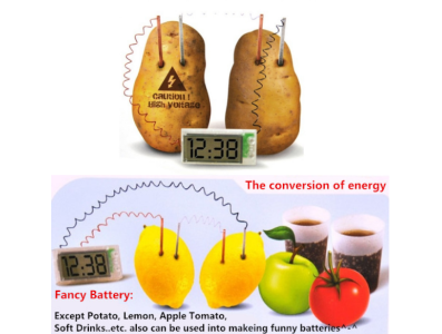 Kit de Rob&oacute;tica Rel&oacute;gio Alarme LED Criativo com Convers&atilde;o de Energia por Batata, Lim&atilde;o e Refrigerante - Imagem 6