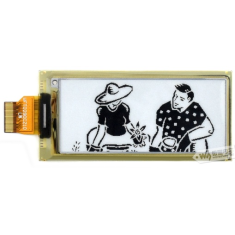 Display e-Paper 2,9 polegadas (D)