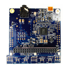 Kit de Desenvolvimento Banana Pi BPI-AI-Voice Microsemi