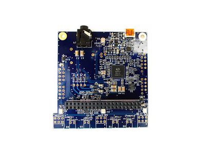 Kit de Desenvolvimento Banana Pi BPI-AI-Voice Microsemi - Imagem 1