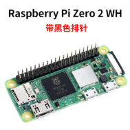 Placa Raspberry Pi Zero 2 W