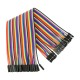 Cabo Dupont f&ecirc;mea-f&ecirc;mea 40 pinos 20 cm 24 AWG - Thumb - 2