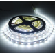 Fita de LED SMD 5050 flex&iacute;vel rolo 5 m 24V branco frio n&atilde;o &agrave; prova d'&aacute;gua - Thumb - 1