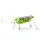 Mini Kit de Rob&oacute;tica Grilo Solar DIY para Crian&ccedil;as Rob&ocirc; Animal Movido a Energia Solar - Thumb - 3