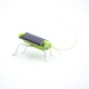 Mini Kit de Rob&oacute;tica Grilo Solar DIY para Crian&ccedil;as Rob&ocirc; Animal Movido a Energia Solar - Thumb - 6