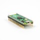 Placa de desenvolvimento Raspberry Pi Pico (RP2040) com soldagem - Thumb - 3
