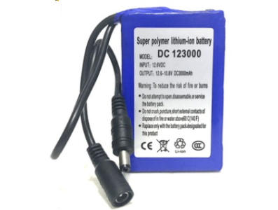 DC123000 Bateria recarreg&aacute;vel de pol&iacute;mero de l&iacute;tio soft-pack 12 V 3000 mAh - Imagem 1