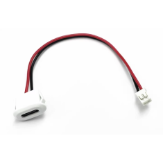 Soquete de carregador Tipo-C 2 pinos PH2.0 100 mm branco
