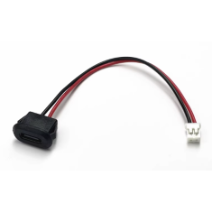 Soquete de carregador Type-C 2 pinos PH2.0 100 mm Preto
