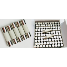 Fus&iacute;veis cer&acirc;micos 5x20 mm a&ccedil;&atilde;o r&aacute;pida 6,3 A 250 V 100 unidades