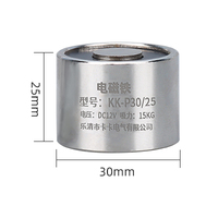 Eletro&iacute;m&atilde; P30/25 6 V DC 15 kg