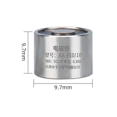 Eletro&iacute;m&atilde; de suc&ccedil;&atilde;o el&eacute;trico P10/10 24 V DC 0,3 kg