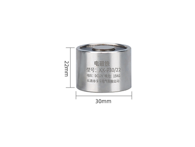 Eletro&iacute;m&atilde; P30/22 DC 36V 10 kg - Imagem 1