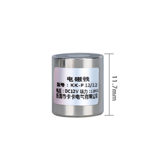 Eletro&iacute;m&atilde; P12/12D 12 V DC Sucker Degaussing 1 kg