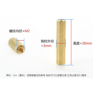 Parafuso espiga cil&iacute;ndrico M2 x 30 mm passagem dupla